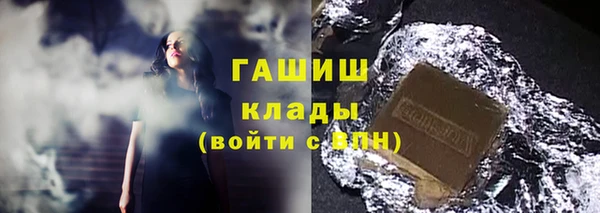 прущие грибы Абаза