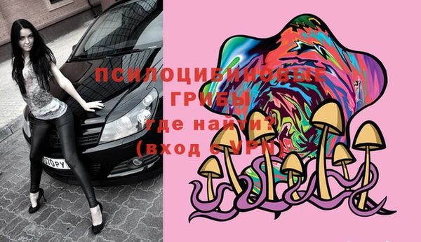 дживик Абинск