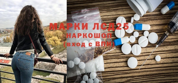 прущие грибы Абаза