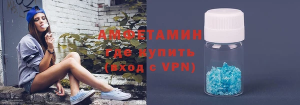 прущие грибы Абаза
