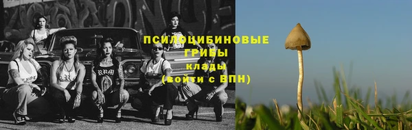 2c-b Корсаков