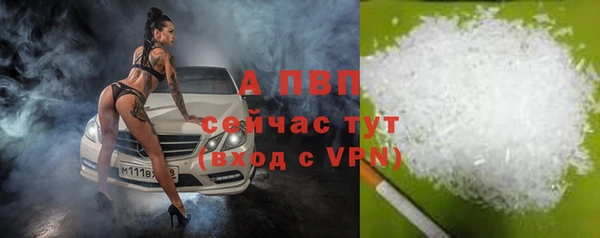 прущие грибы Абаза