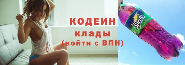 прущие грибы Абаза