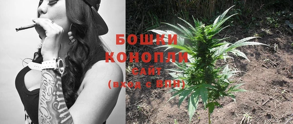 PSILOCYBIN Абдулино