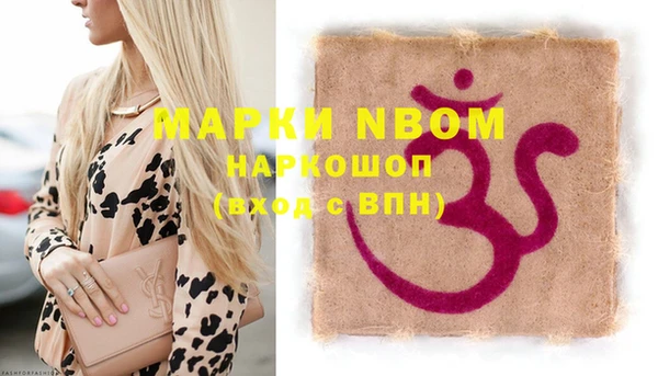 прущие грибы Абаза