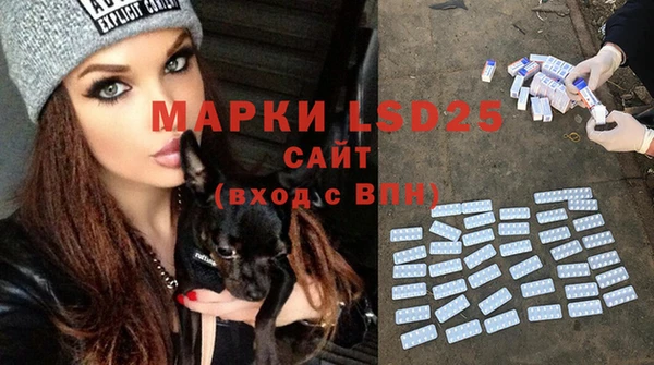 дживик Абинск