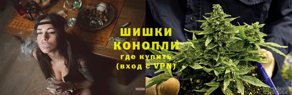 PSILOCYBIN Абдулино