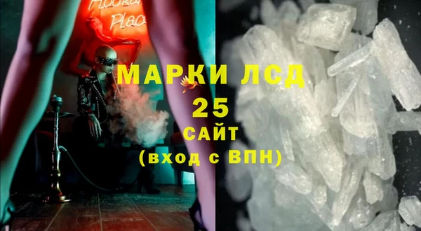 прущие грибы Абаза