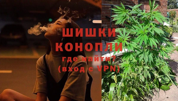 прущие грибы Абаза