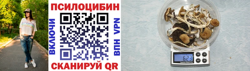 Галлюциногенные грибы прущие грибы  ОМГ ОМГ маркетплейс  Тотьма 